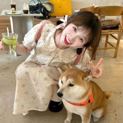 天堂岛疑云第七季