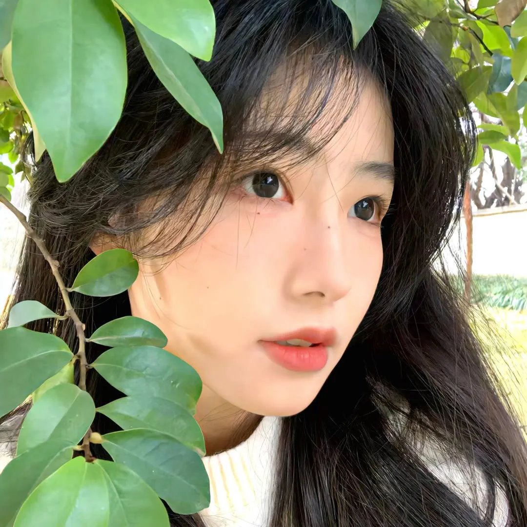 夜晚开的花