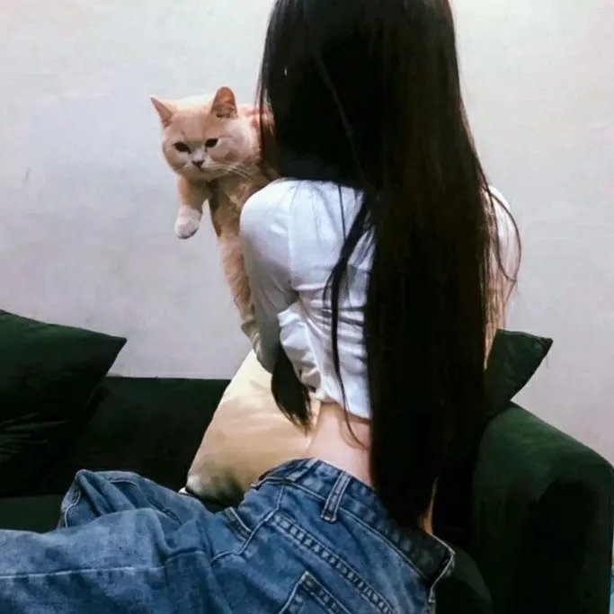 圣诞故事